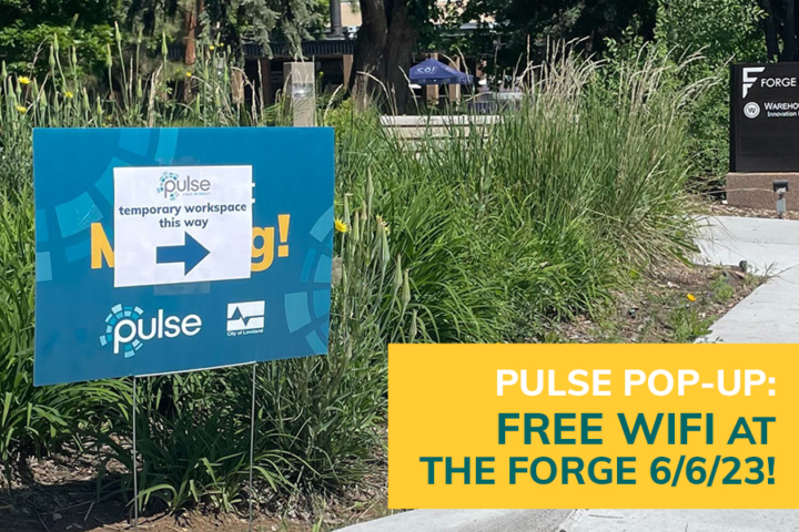Pulse Pop-Up - free WiFi at The Forge